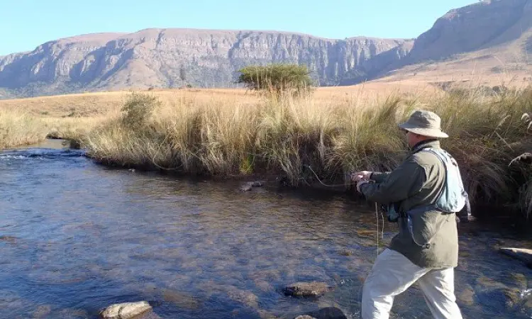Mavungana Flyfishing - Guided Fly Fishing