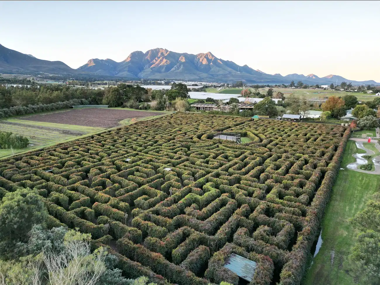 Maze in the Outeniqua Mountains