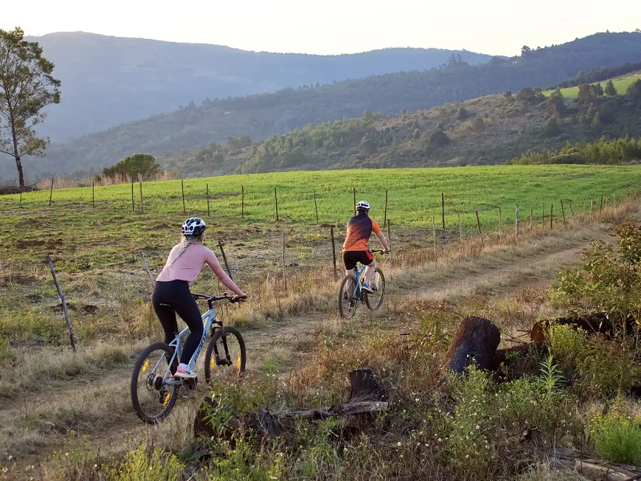 Cycle Tours in Magoebaskloof