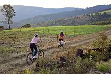 Cycle Tours