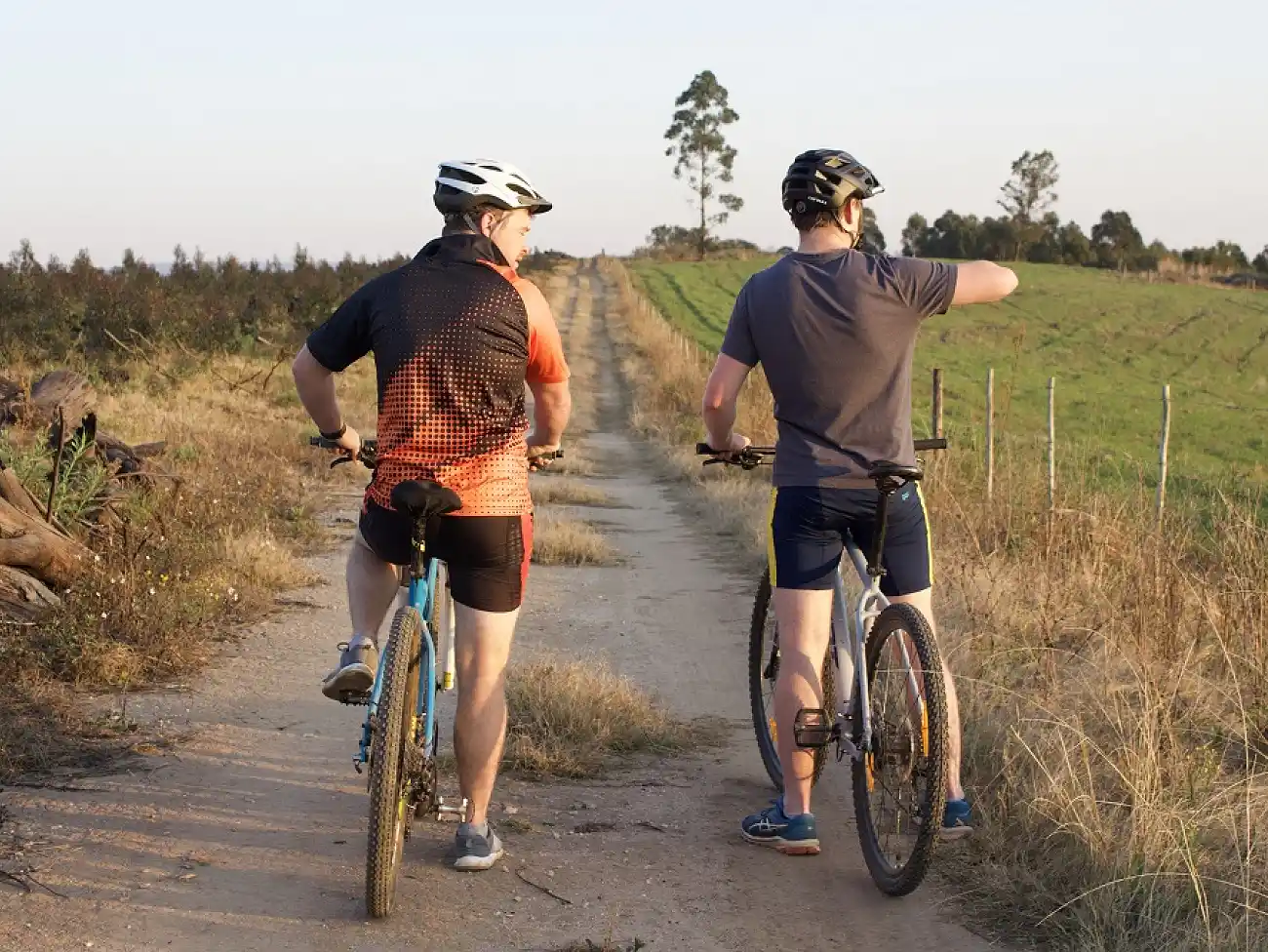 Mountain Biking in the Central Drakensberg