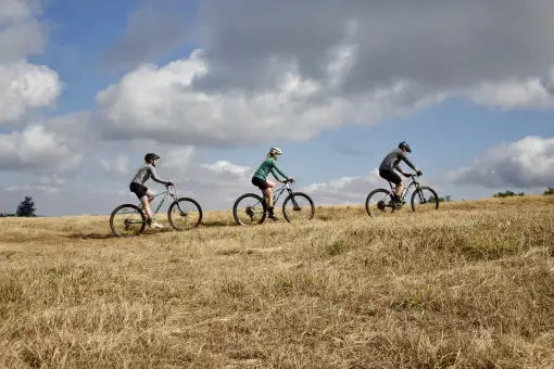 Misty Mountain Meanders - Bicycle Tours