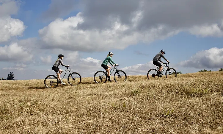 Misty Mountain Meanders - Bicycle Tours