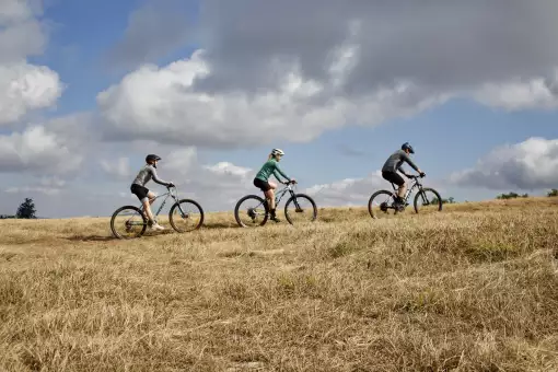 Misty Mountain Meanders - Bicycle Tours