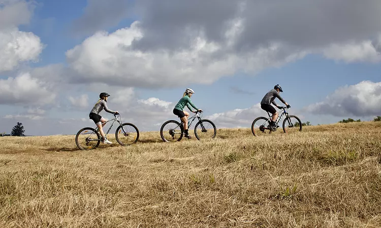 Misty Mountain Meanders - Bicycle Tours