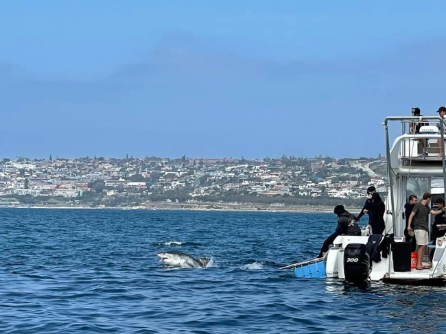 {def_description_image_text}