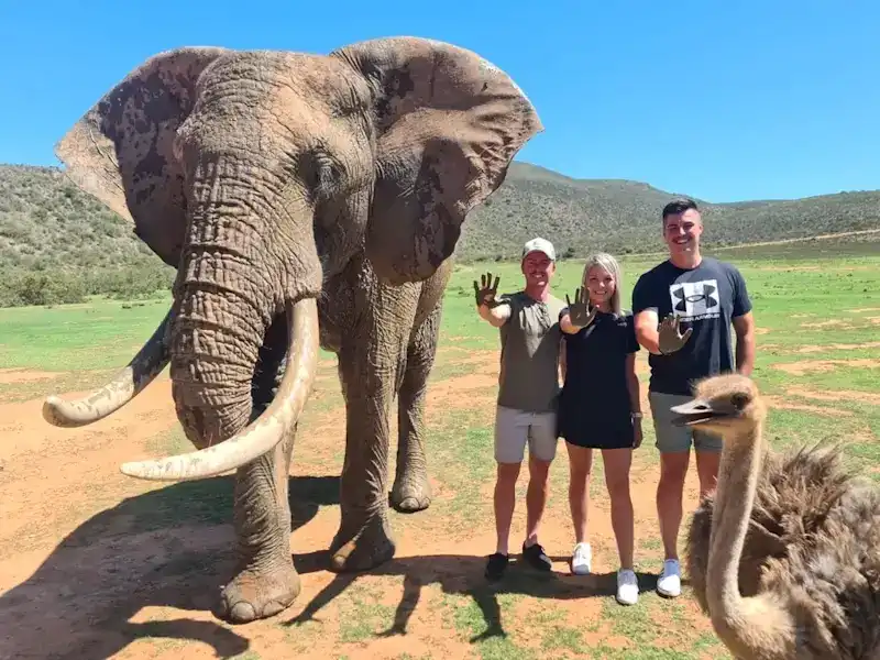 Elephant Experience