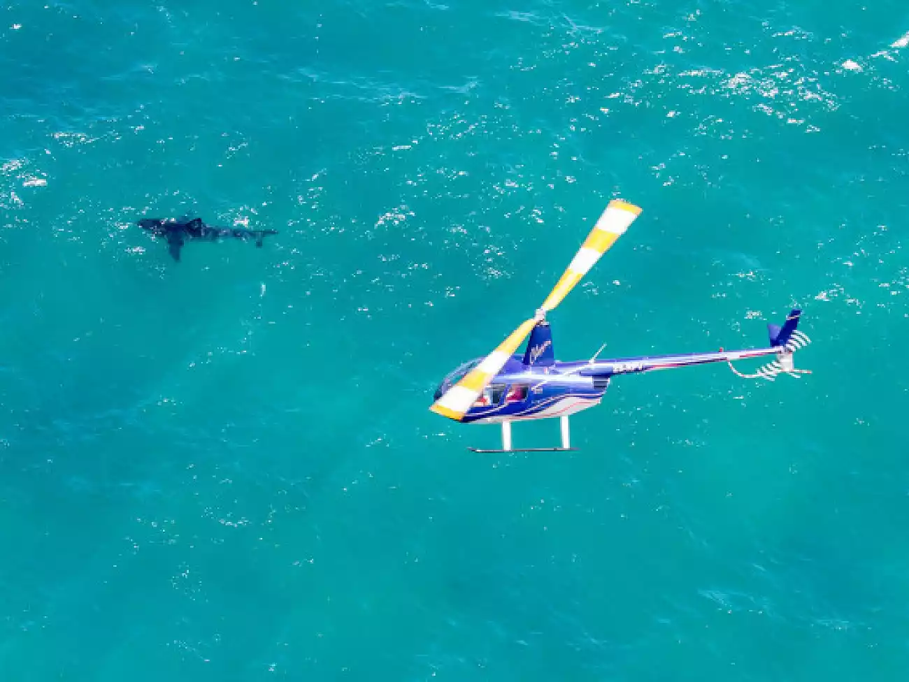 Helicopter Flights on the Garden Route