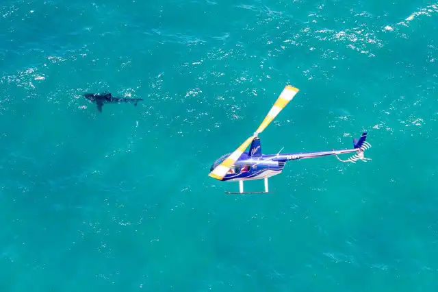 Helicopter Flights