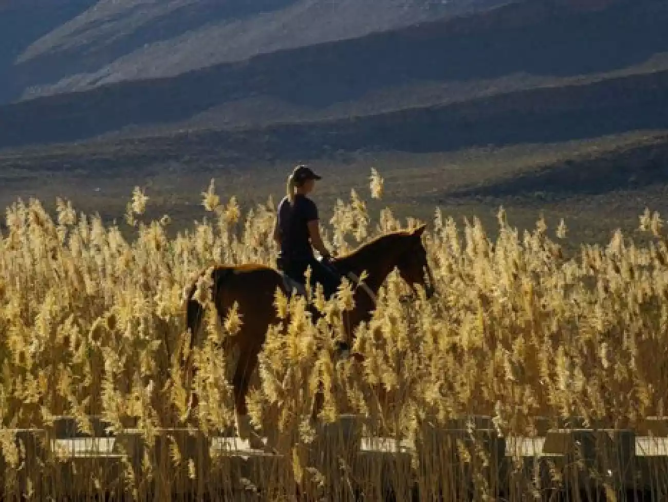 Horse Riding in the Cederberg 