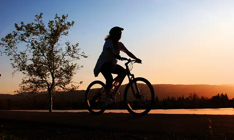 Sun Eagle Adventures - Mountain Biking