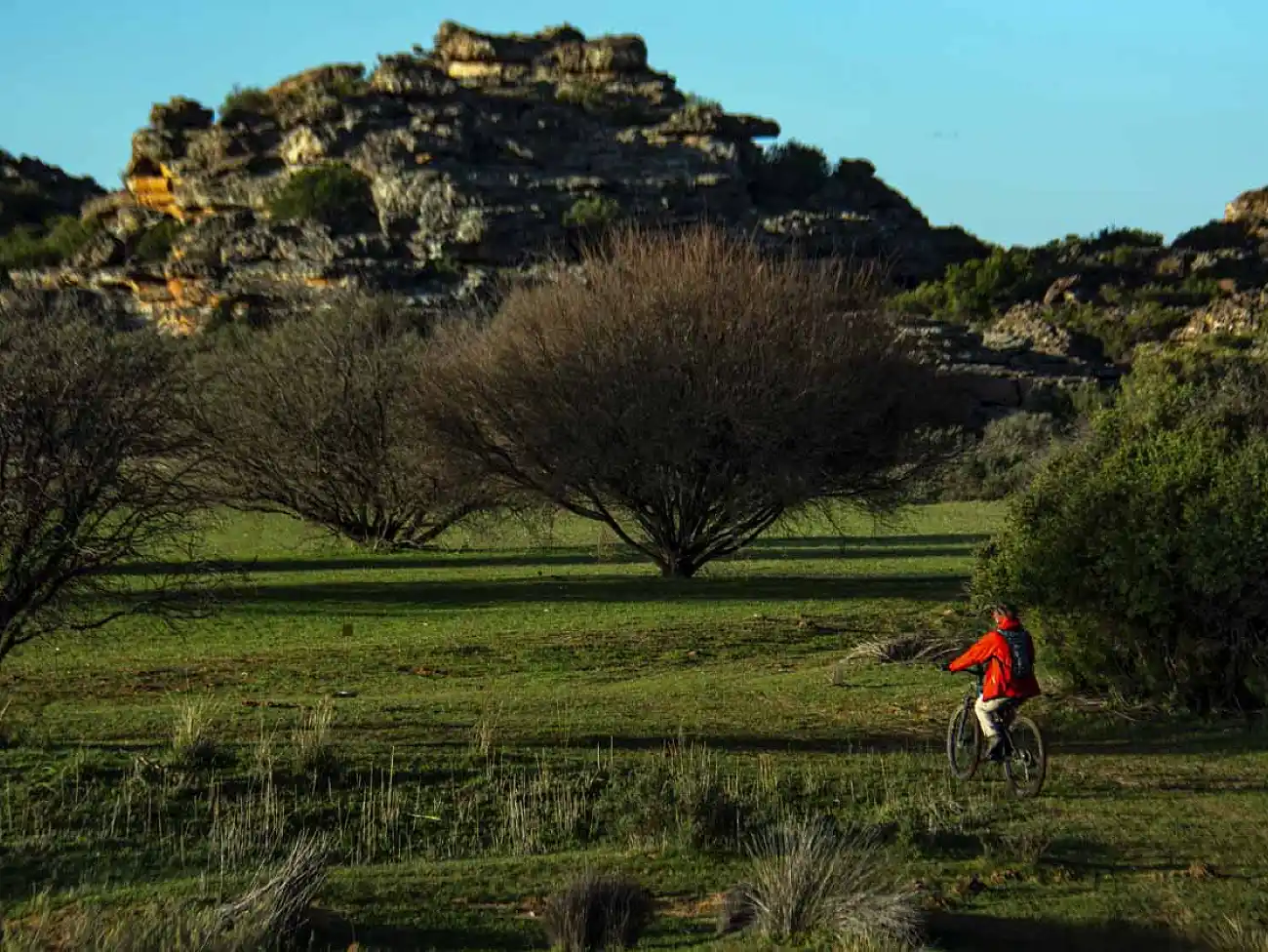 Mountain Biking in Nieuwoudtville
