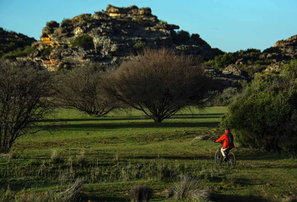 Mountain Biking