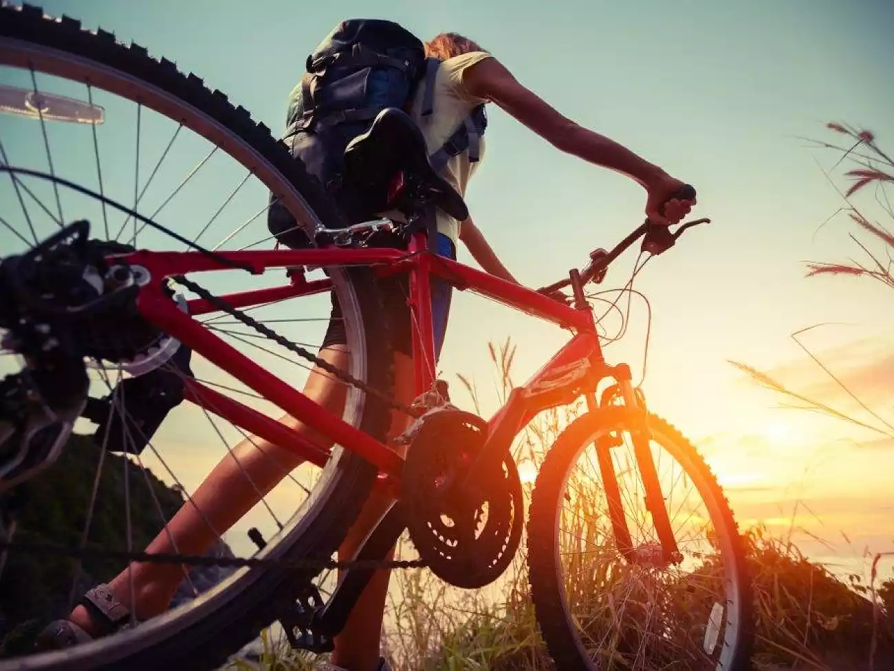 Mountain biking in Grabouw