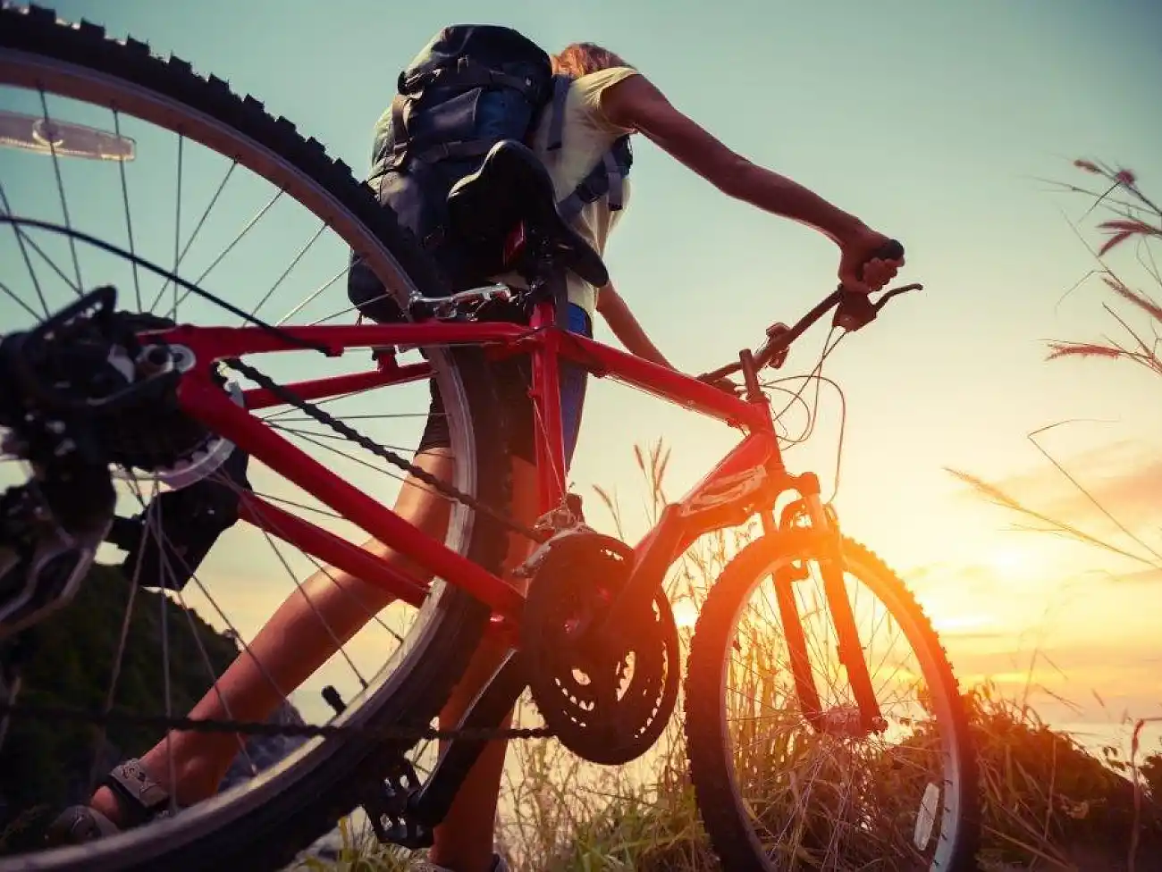 Mountain Biking on the Wild Coast