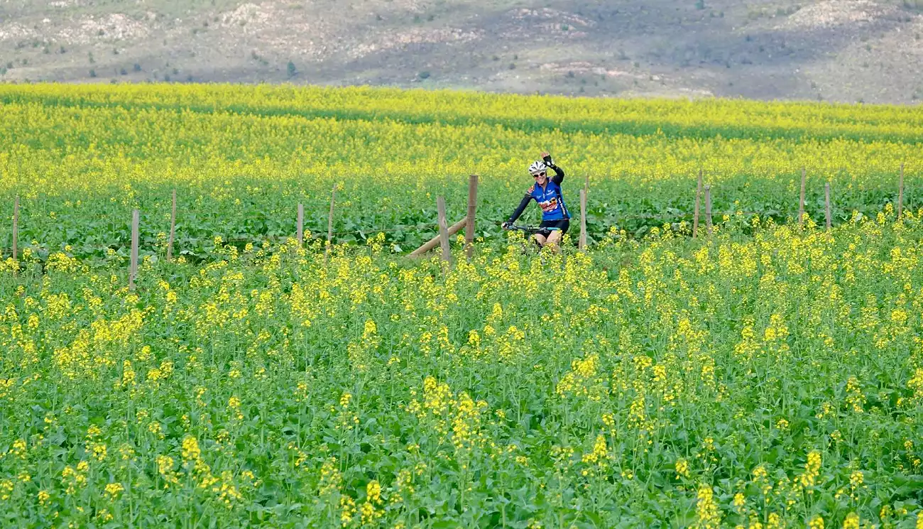 {def_description_image_text}