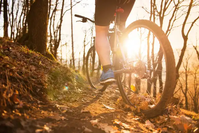 Mountain Biking
