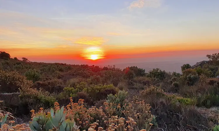 Mountain View Trails - Slackpacking in the Cape Winelands