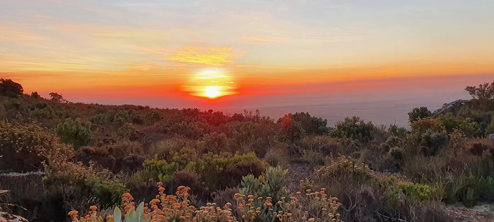 Mountain View Trails - Slackpacking in the Cape Winelands