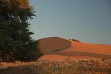 4x4 Tours