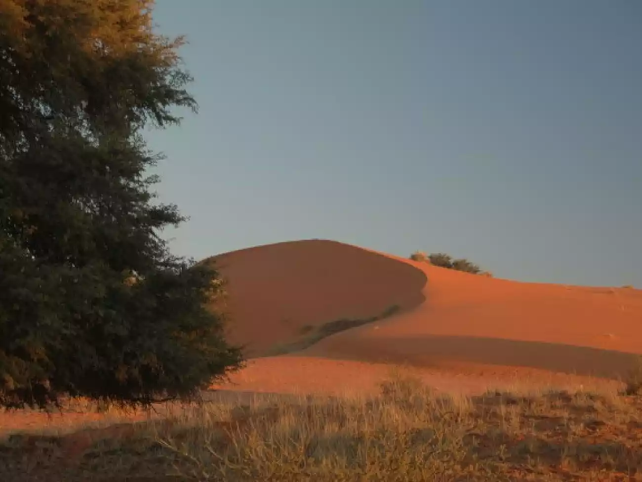 4x4 Tours in Upington