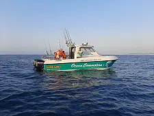 Deep Sea Fishing