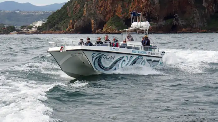 Boat Trips