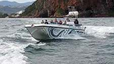 Boat Charters