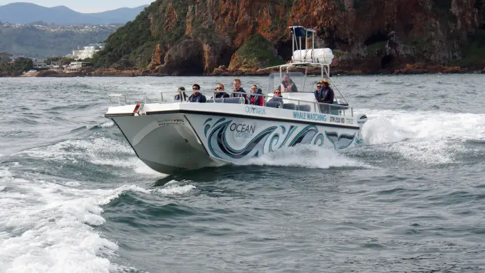Boat Trips
