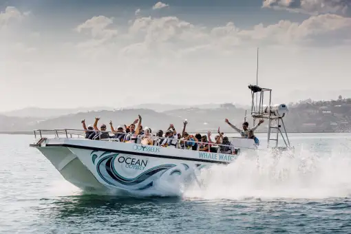 Ocean Odyssey - Boat Trips