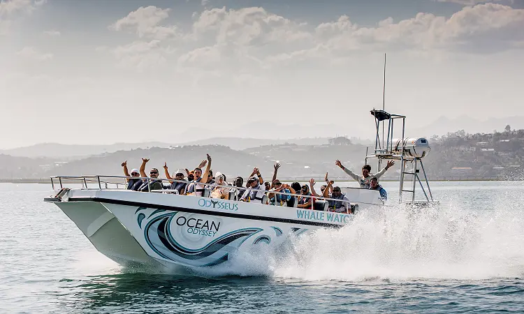 Ocean Odyssey - Boat Trips