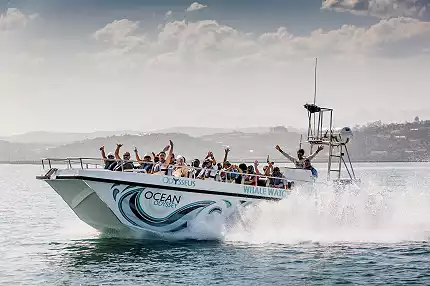 Ocean Odyssey - Boat Trips