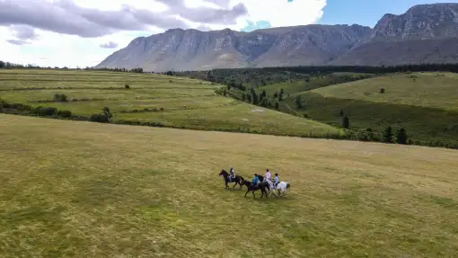 Oudebosch Guest Farm - Horse Riding