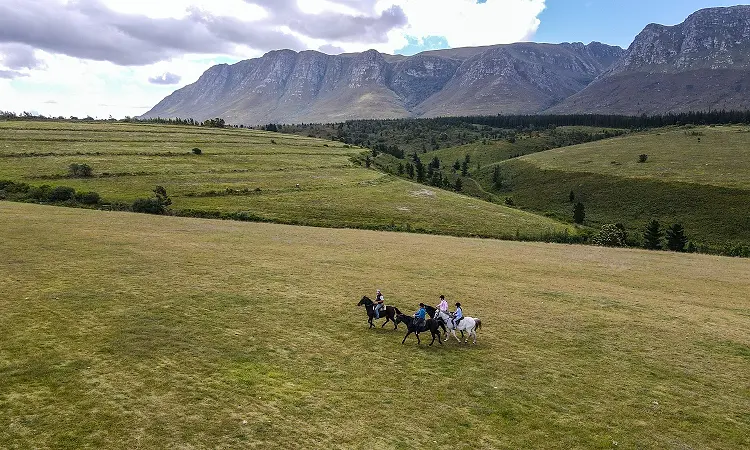 Oudebosch Guest Farm - Horse Riding