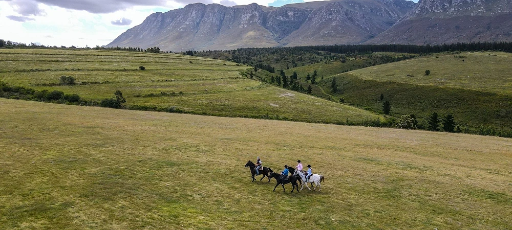 Oudebosch Guest Farm - Horse Riding