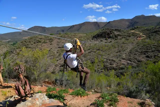 Zip Line