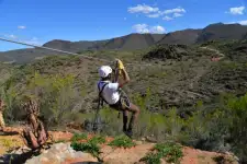 Zip Line