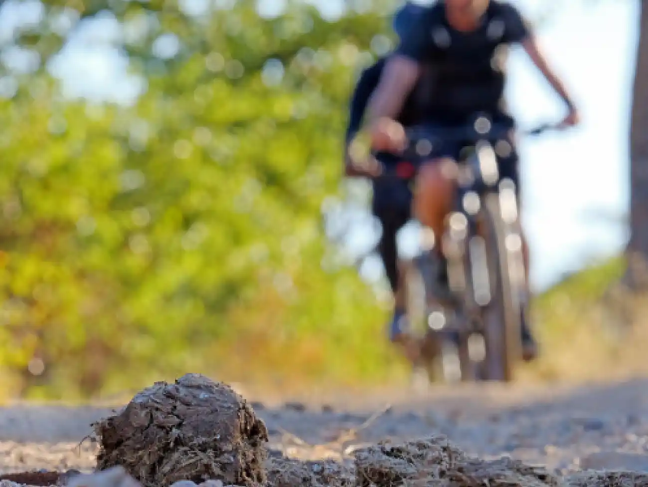 Cycle Tours in Hoedspruit