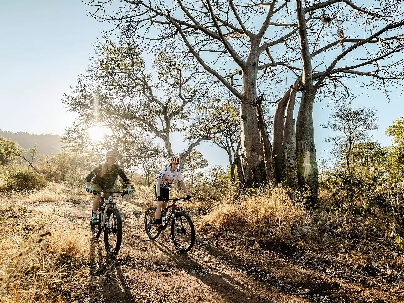 Cycle Tours in the Kruger National Park