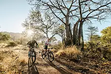 Cycle Tours