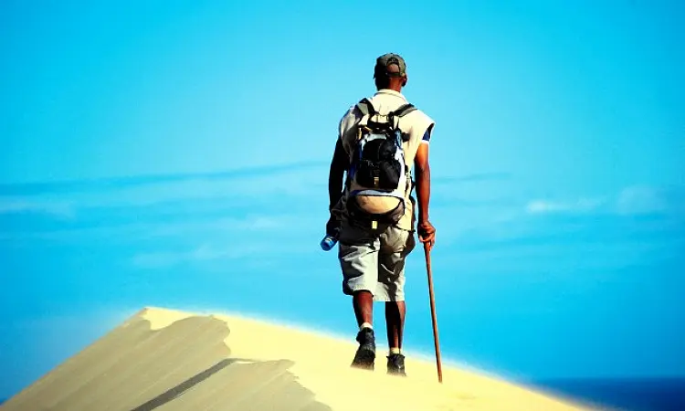 Oystercatcher Trail - Guided Hiking