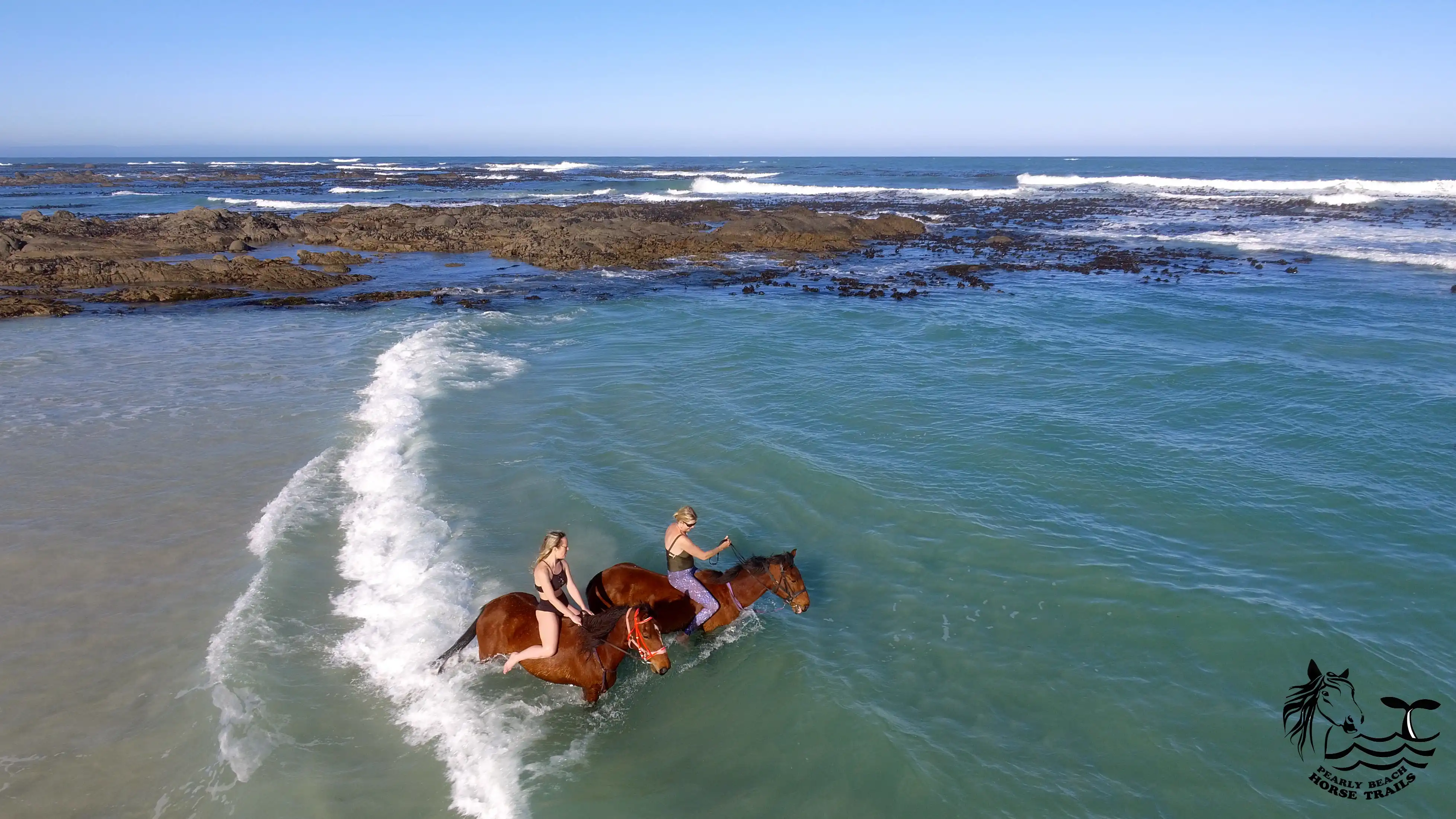 Swimming with Horses