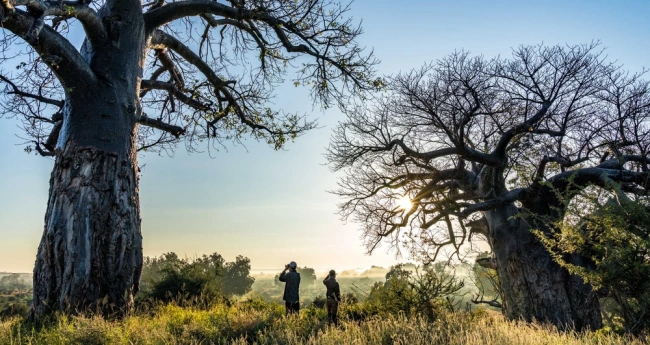 {def_description_image_text}