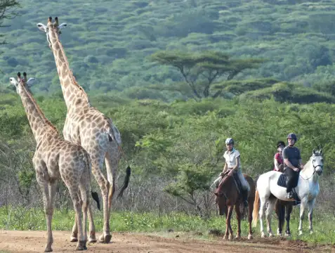 Pakamisa Private Game Reserve - Horse Riding