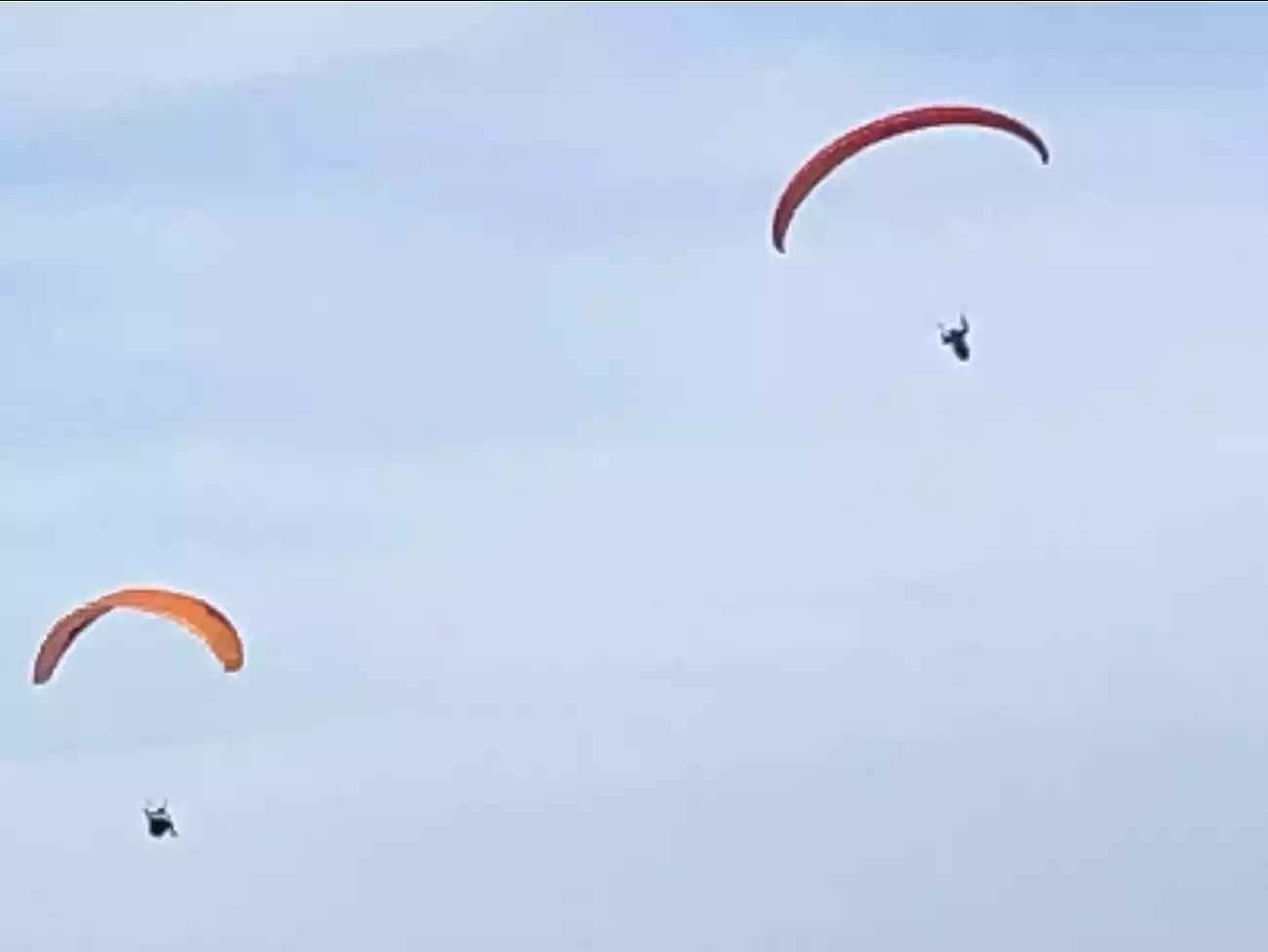 Paragliding in Gqeberha