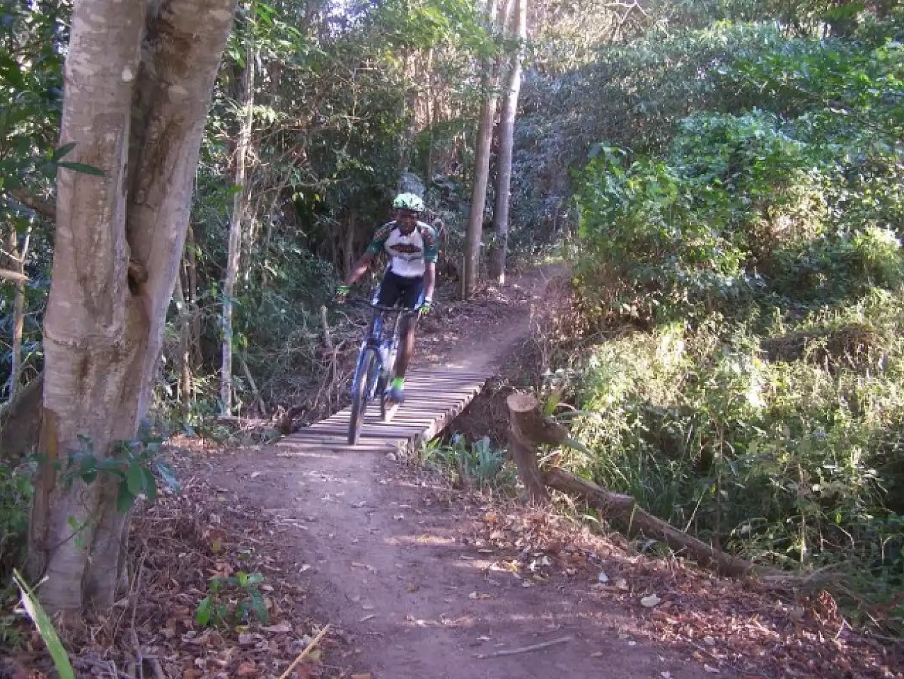 Mountain biking in Park Rynie