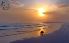 Horse Riding