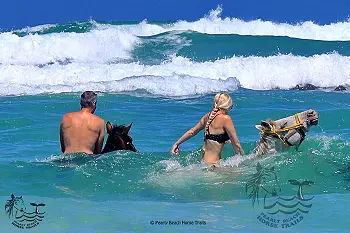 Beach Horse Rides
