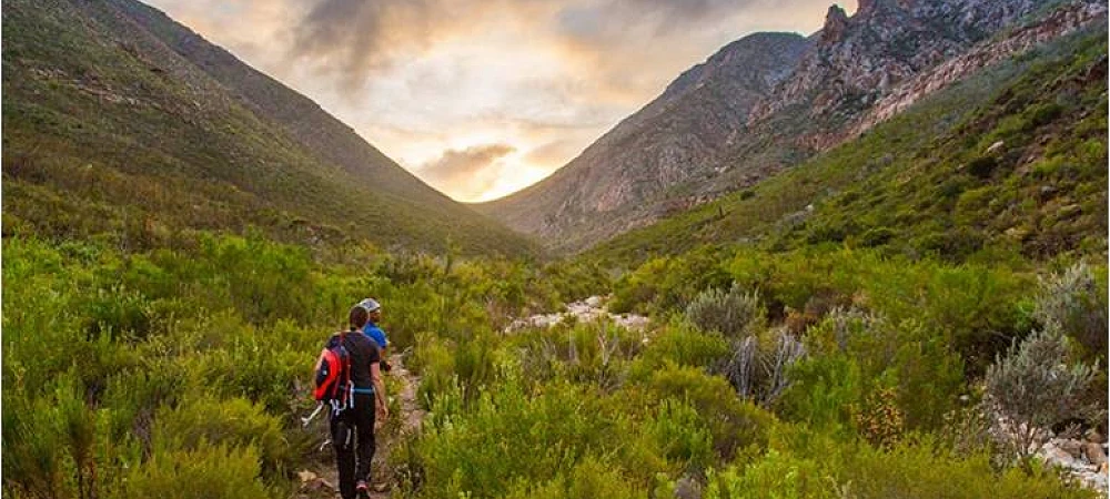 Baviaans Camino - Camino Routes