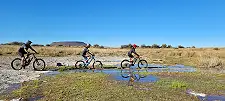 Cycle Tours